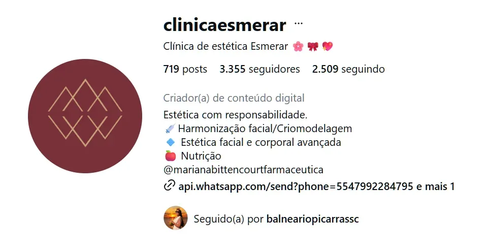 Recorte do perfil público da Clínica Estética Esmerar, com seu símbolo geométrico vinho e a descrição estética com responsabilidade